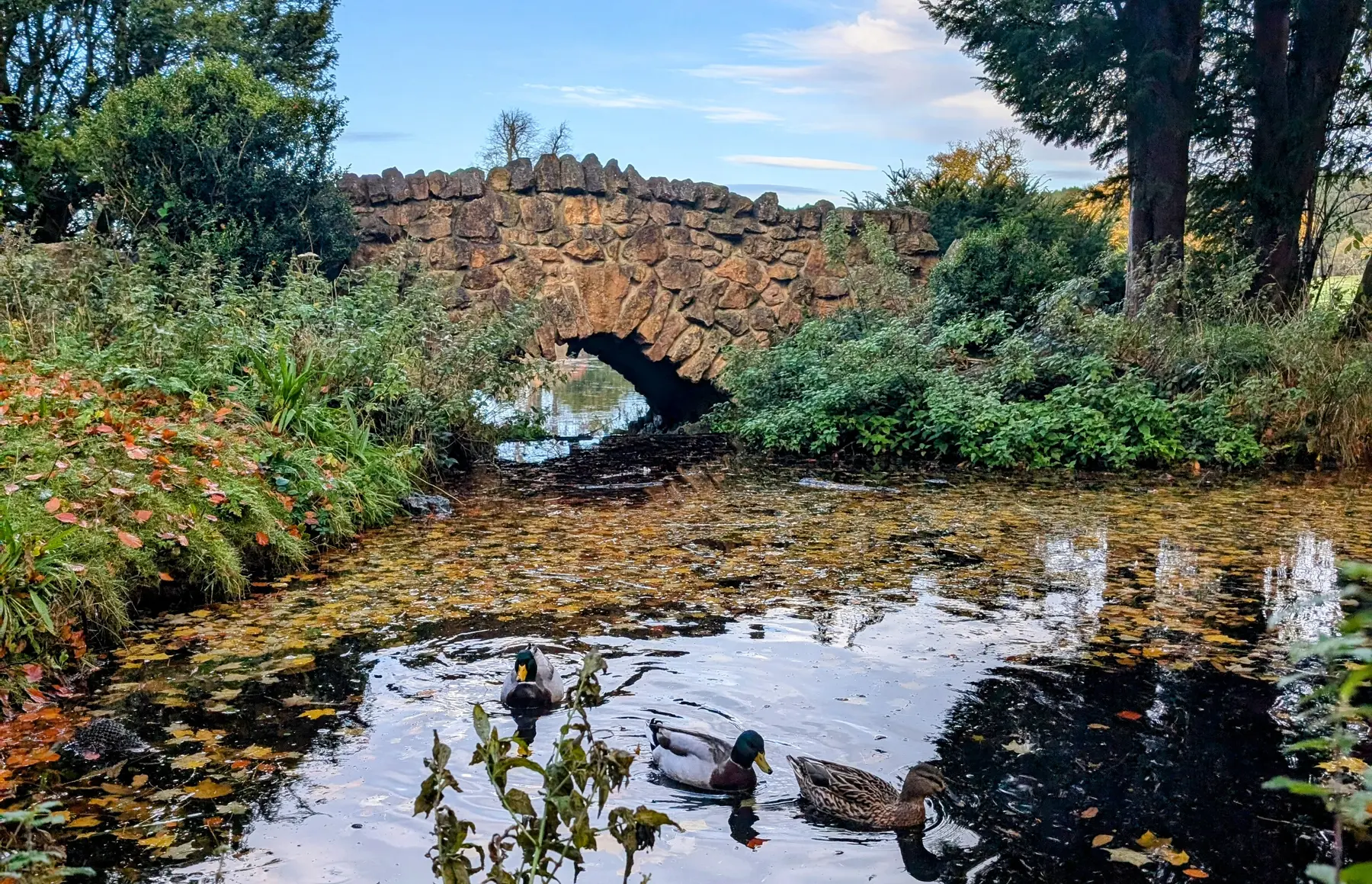 Stone bridge reflected in the water at Hardwick Park