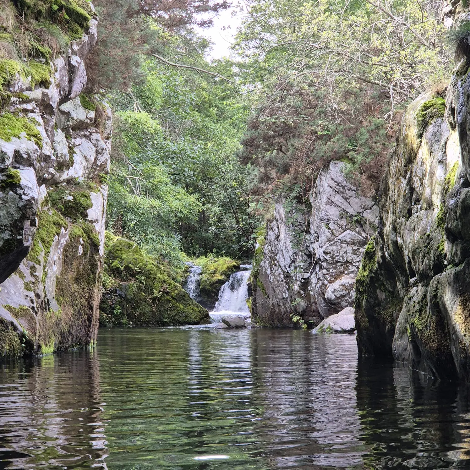 Hethpool Linn flowing between steep wooded rocks