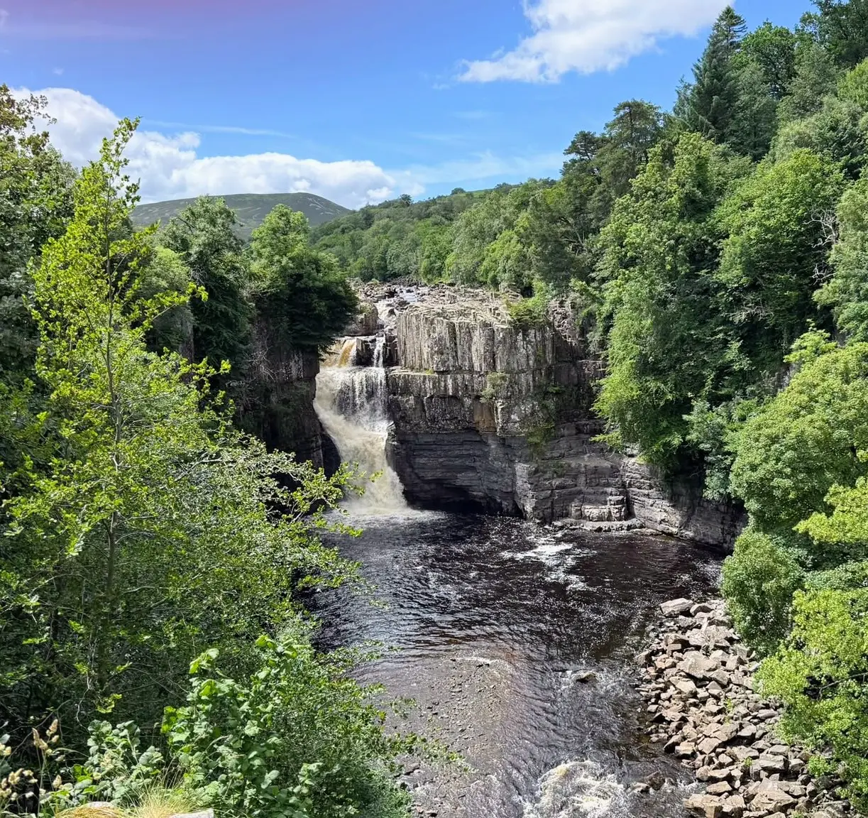 High Force waterfall surrounded by green woodland