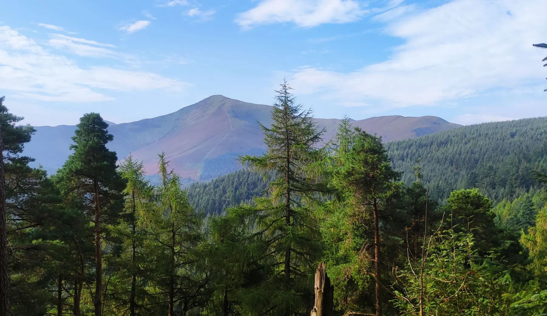 Woodland and mountain scenery in the Lake District